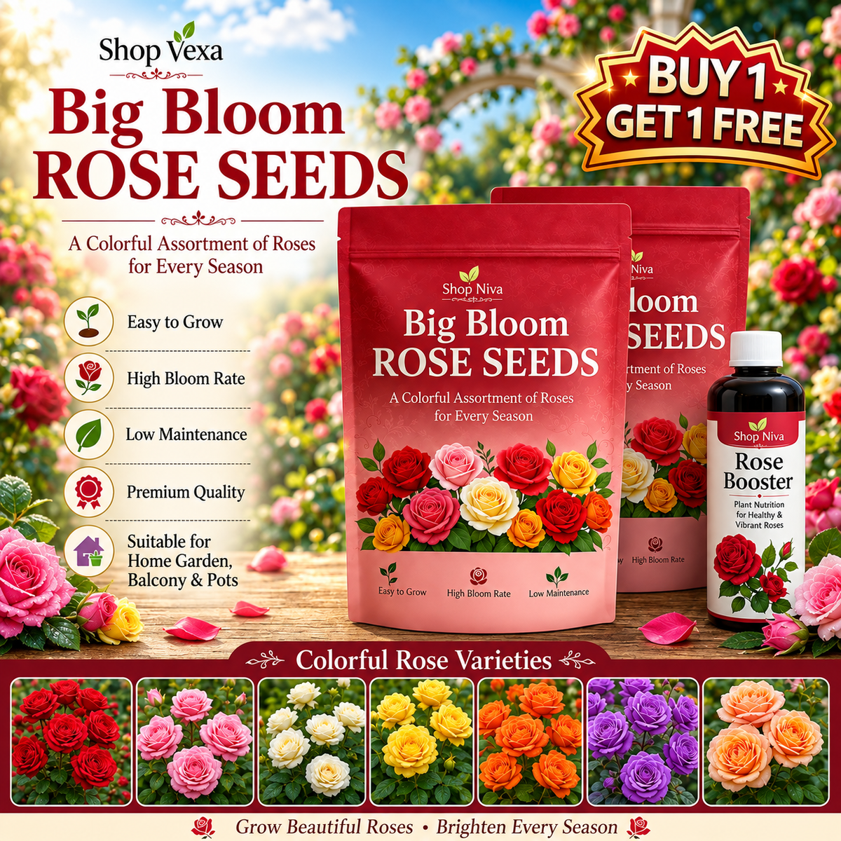 Big Bloom Rose Seeds (Pack of 2)